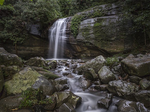 Where to find the best waterfalls on the Sunshine Coast